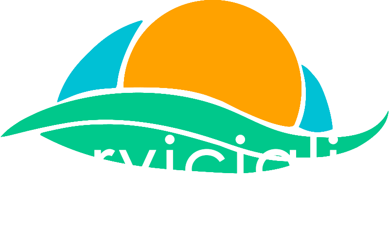 Mudanzas Lleida
